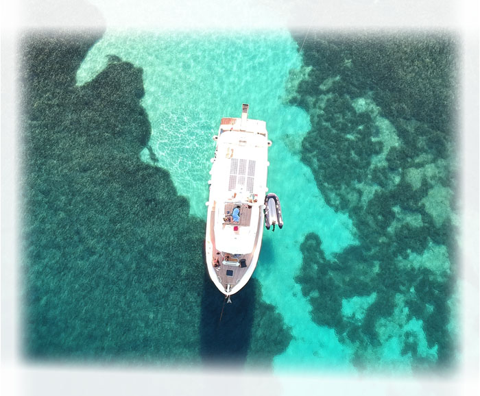 Dalgacı Boat Fiyatlar